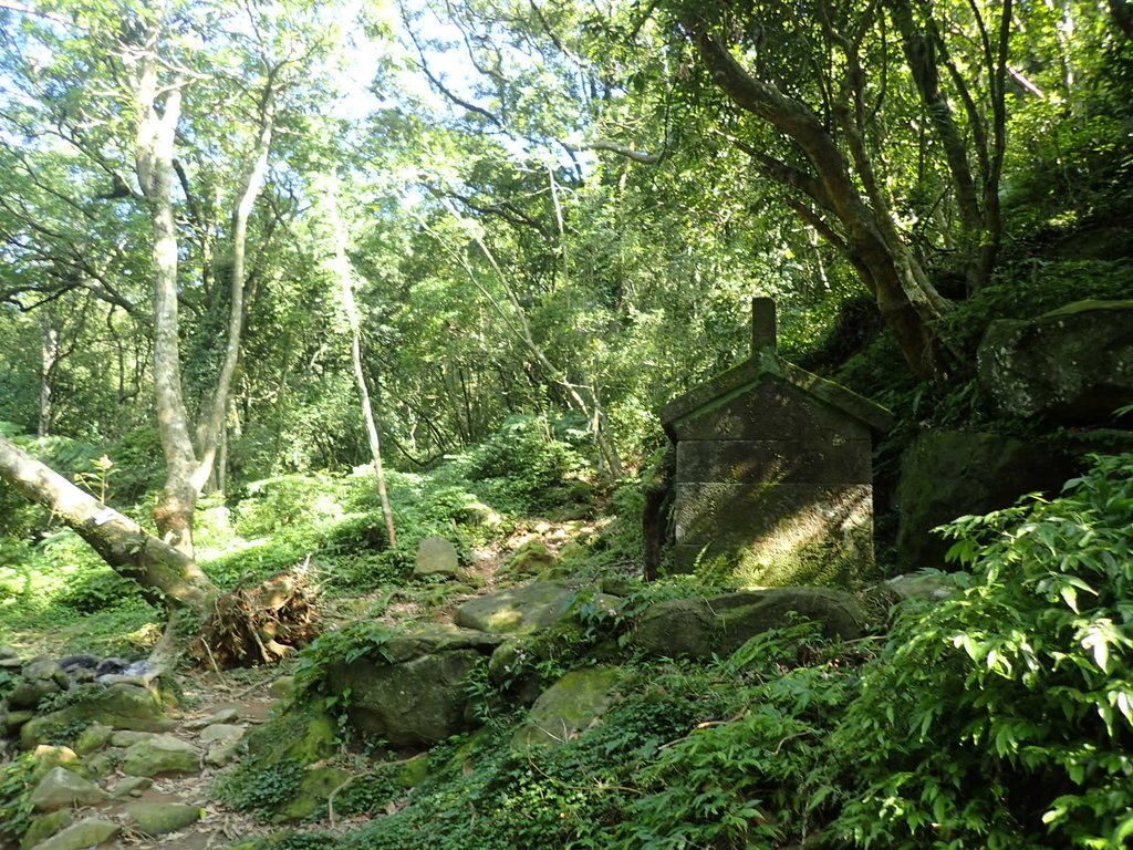 P7296086.JPG - 金山  竹子山古道  阿里磅瀑布