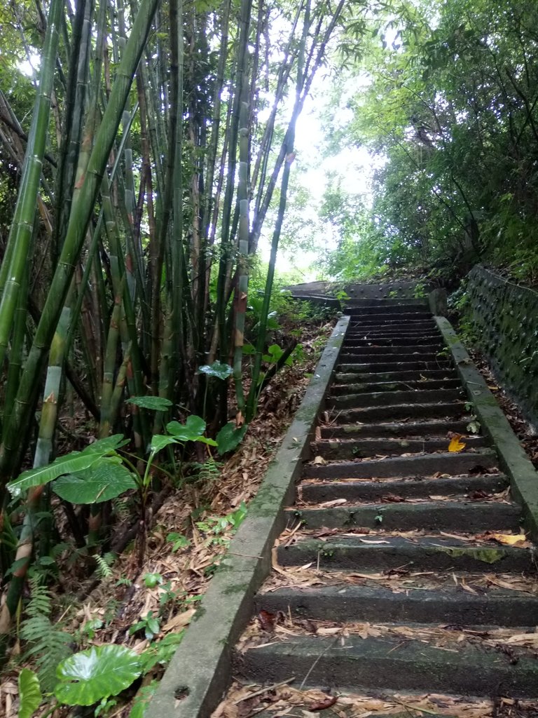 DSC_9633.JPG - 公館  出礦坑登山步道