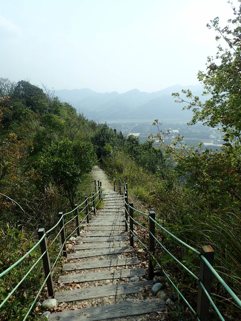 P3016093.JPG - 草屯平林  九九峰森林步道