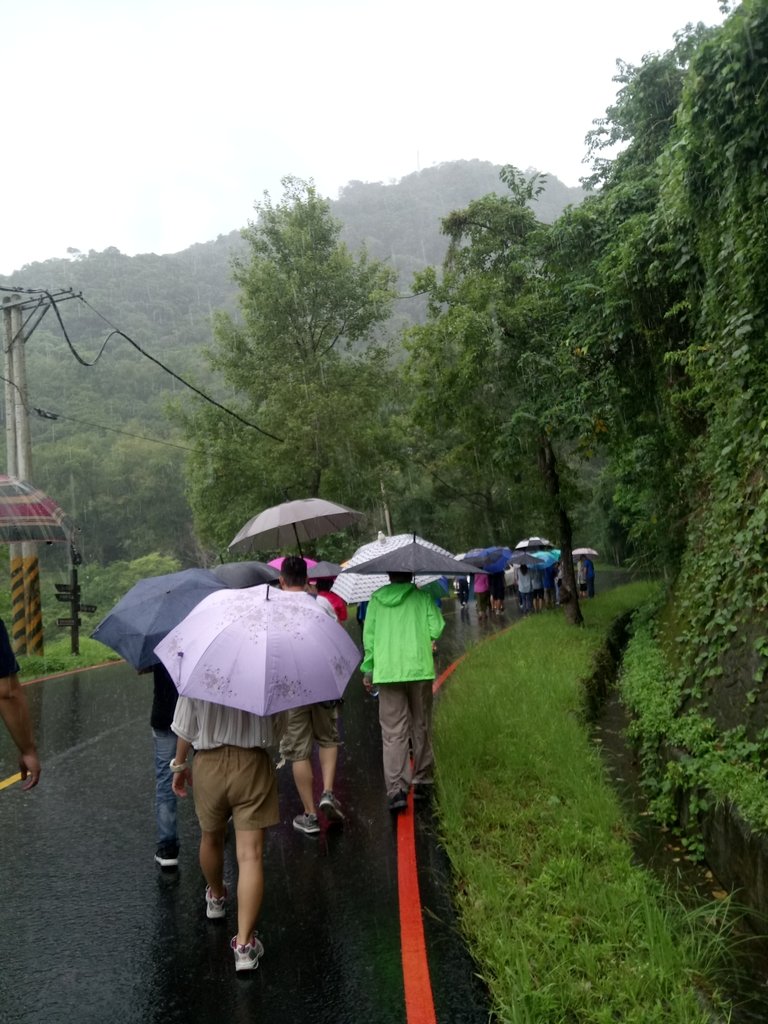 DSC_8906.JPG - 雨中漫遊  石門水庫