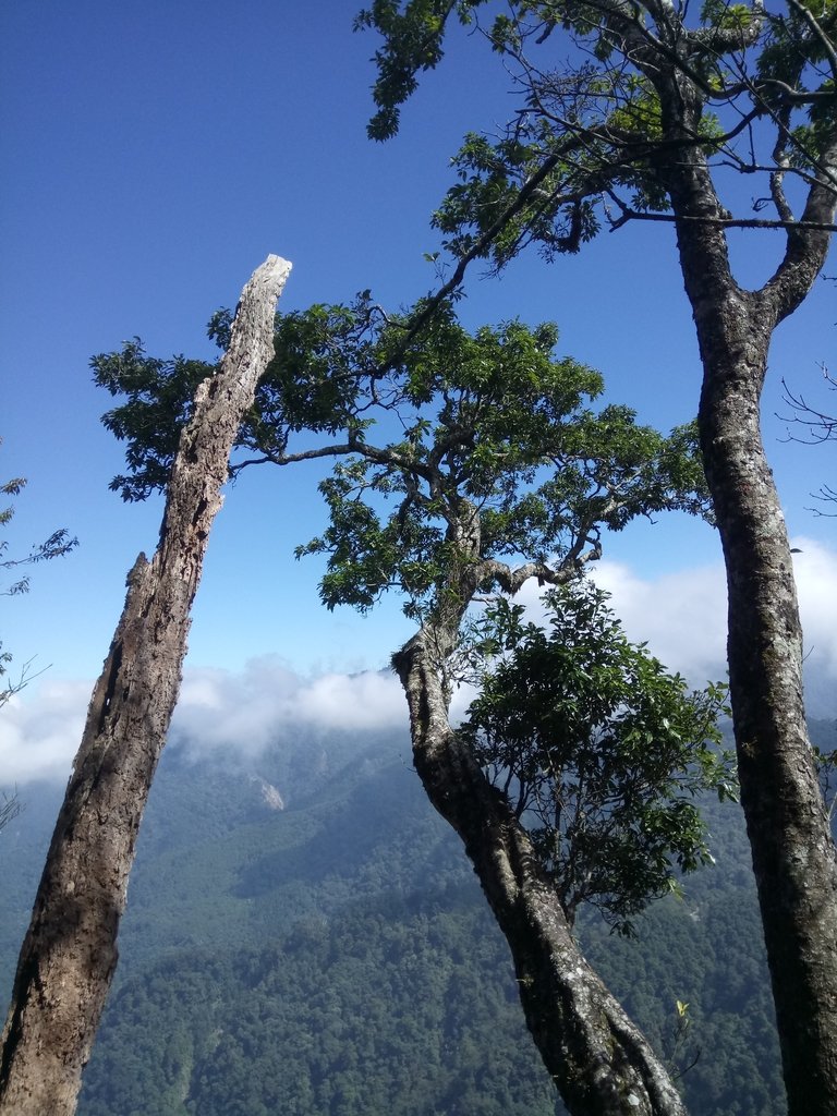 DSC_2642.JPG - 台中  和平  稍來山