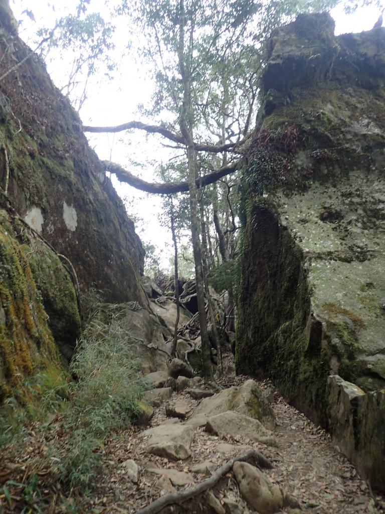 P2034907.JPG - 南庄  加里山