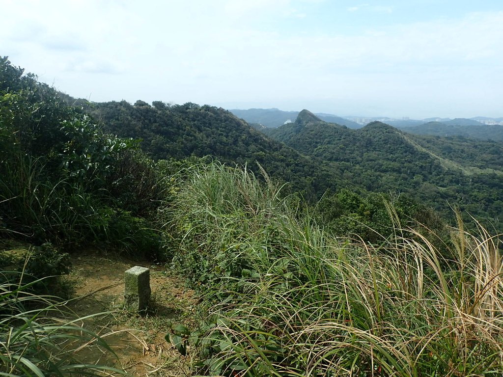 P2145402.JPG - 秀崎山  瑞芳山  龍潭山