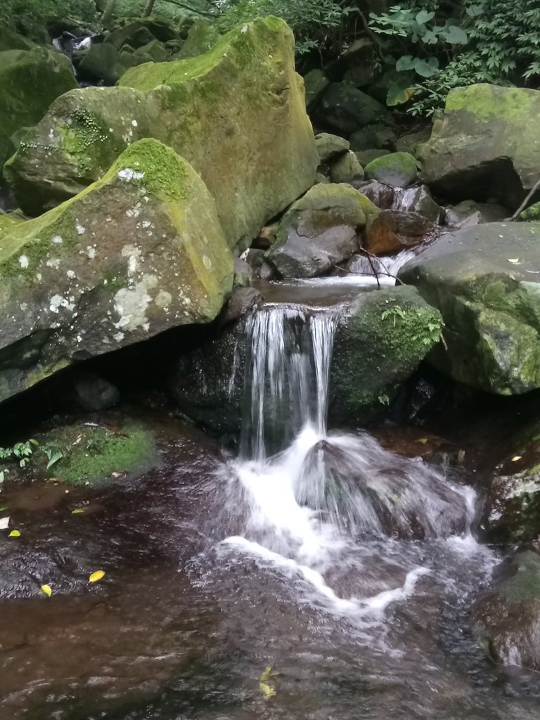 DSC_0708.JPG - 三芝  大屯溪古道