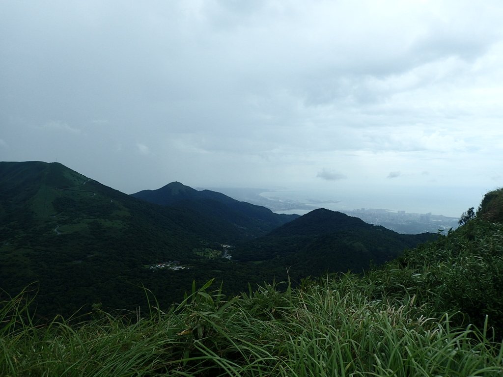 P7165526.JPG - 小觀音山  西峰登山步道