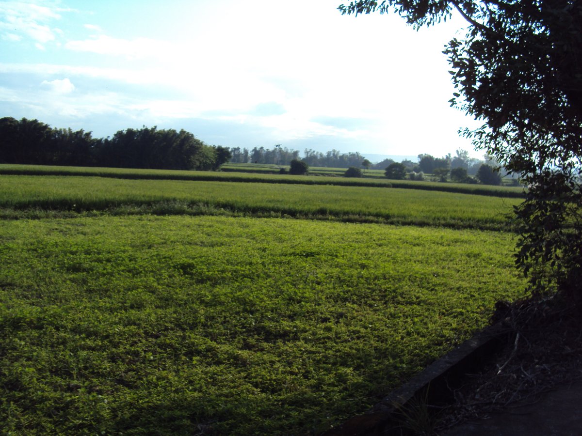 DSC01988.JPG - 平鎮  山子頂  陳家古厝