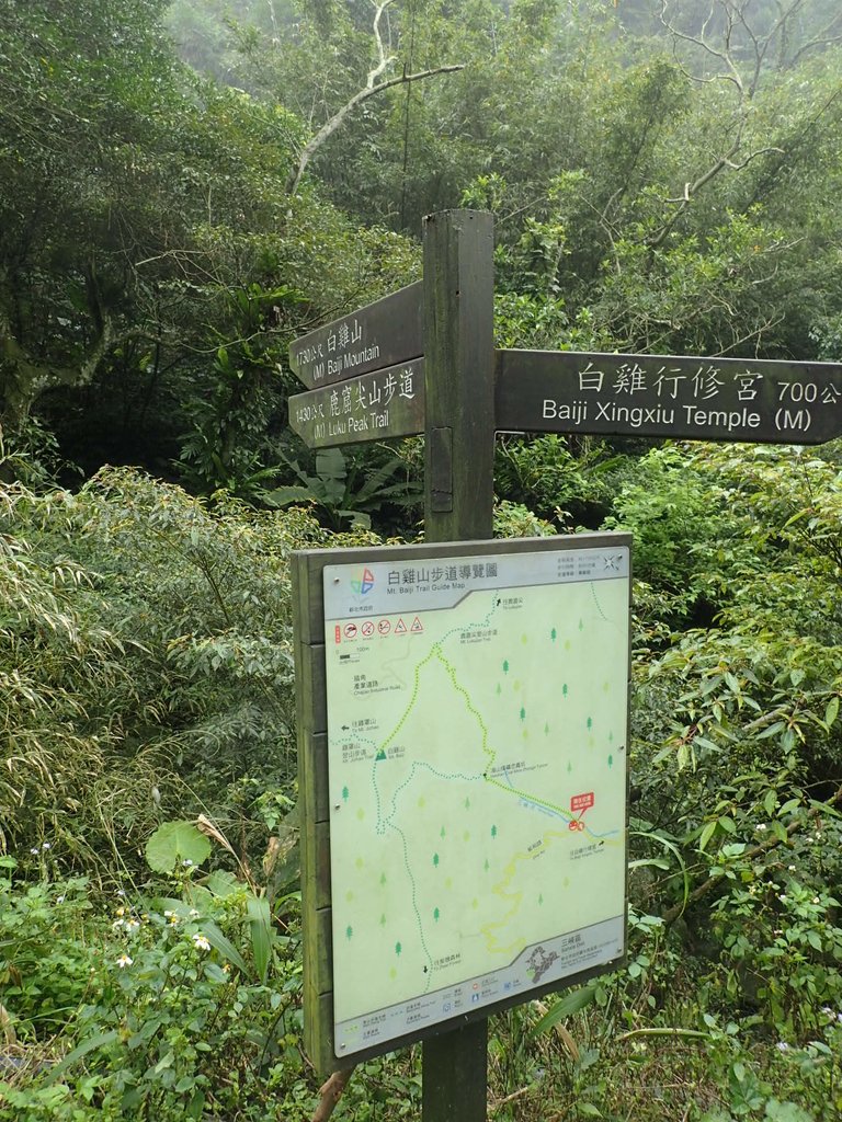 P3039049.JPG - 三峽  白雞山登山步道