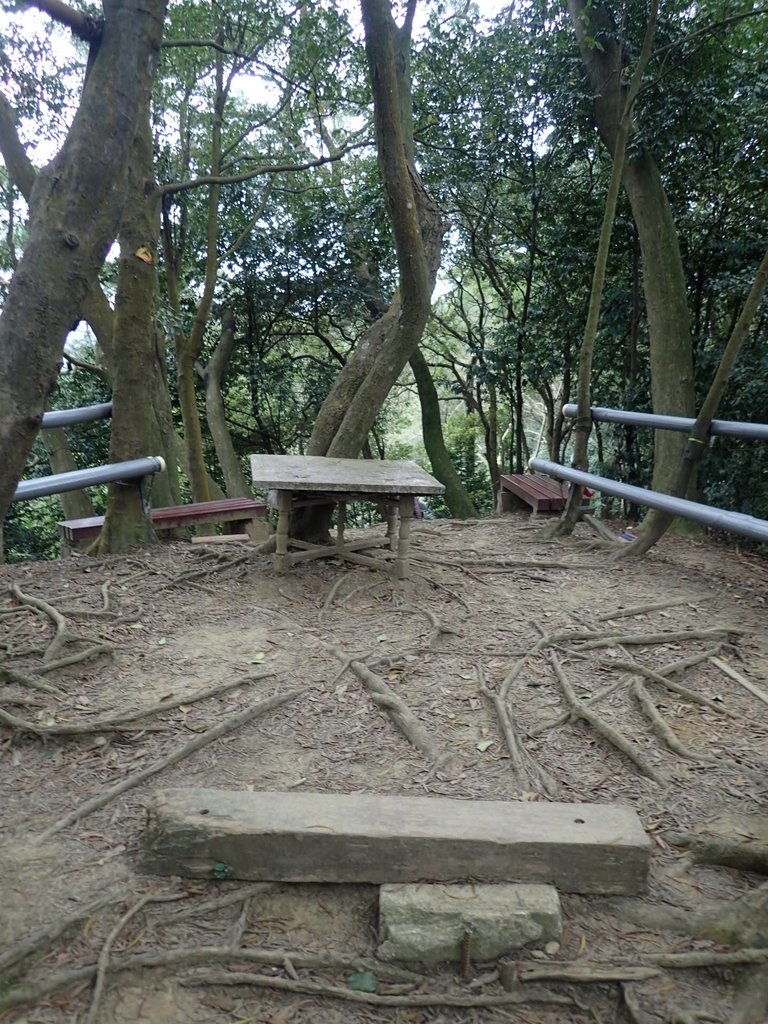 P2167992.JPG - 三峽  鳶尾山登山步道