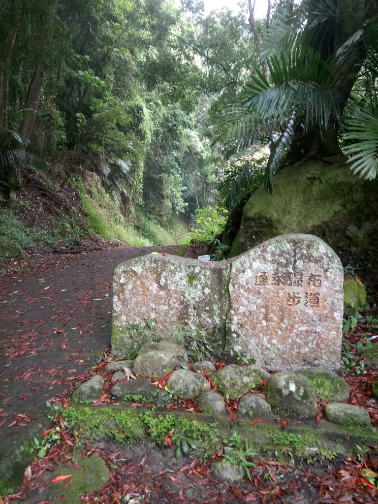 DSC_1156.JPG - 草嶺  蓬萊瀑布步道