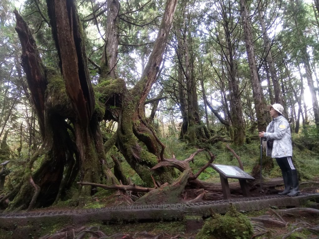 DSC_0077.JPG - 太平山  翠峰湖環山步道  01