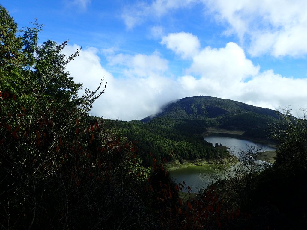 PB265464.JPG - 太平山  翠峰湖環山步道  02