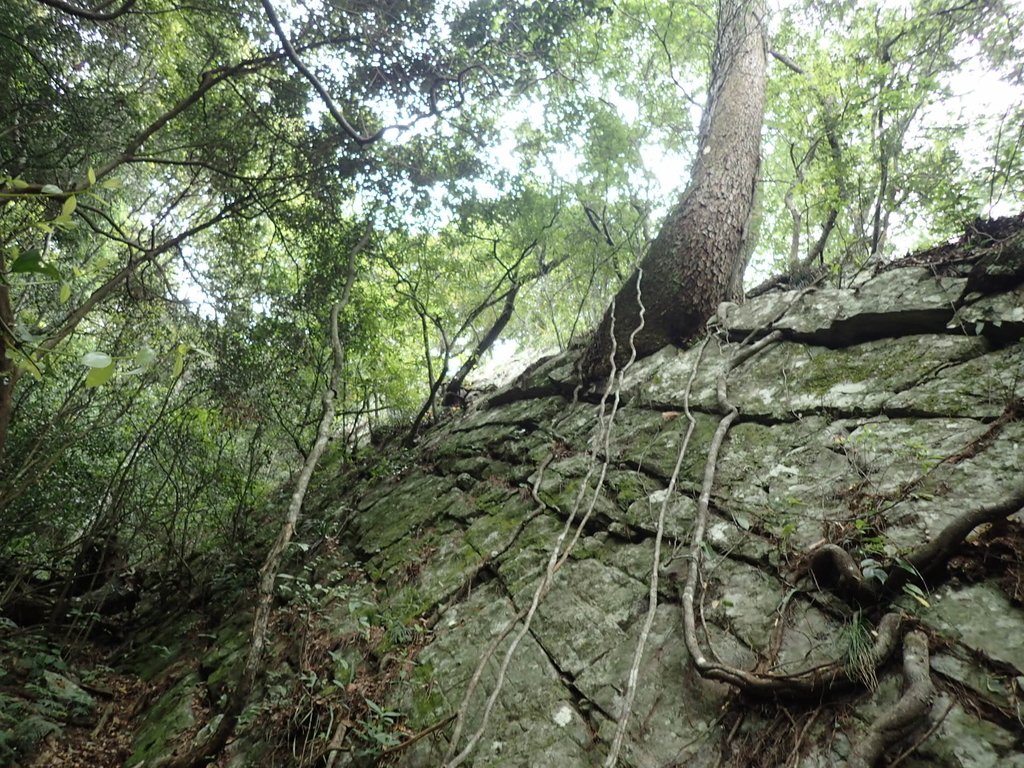 P5012293.JPG - 谷關七雄之  波津加山