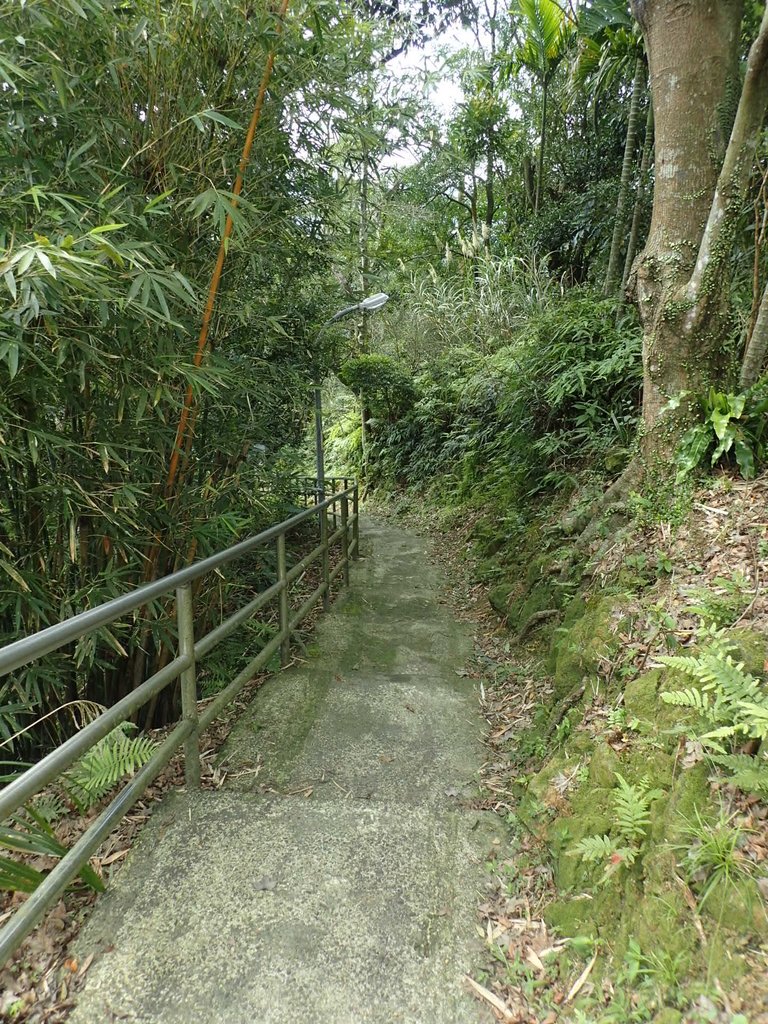 P3018800.JPG - 深坑  土庫岳登山步道  (02)