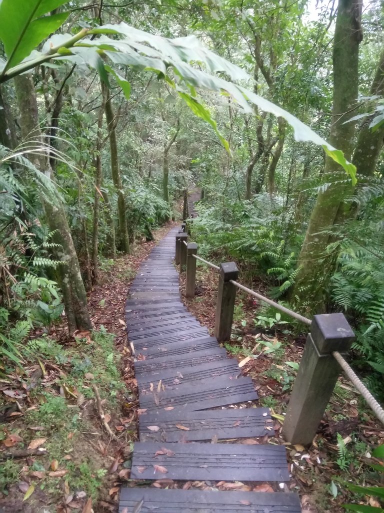 DSC_7168.JPG - 坪林  鬼子賴尖山