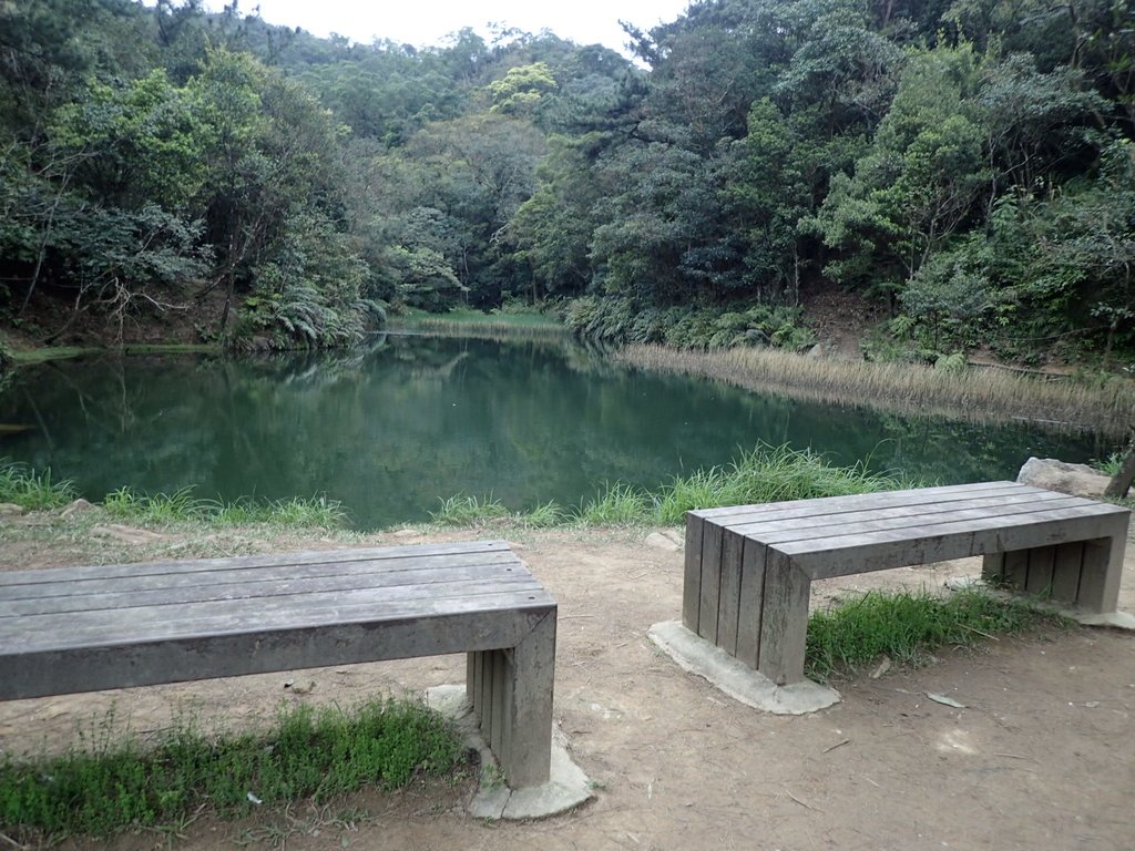 P3160116.JPG - 汐止  柯子林山  如意湖