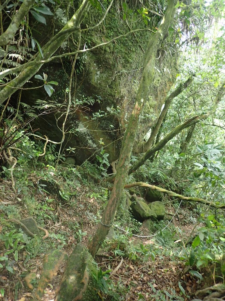 P6090343.JPG - 瑞芳  三貂嶺山  三貂大崙