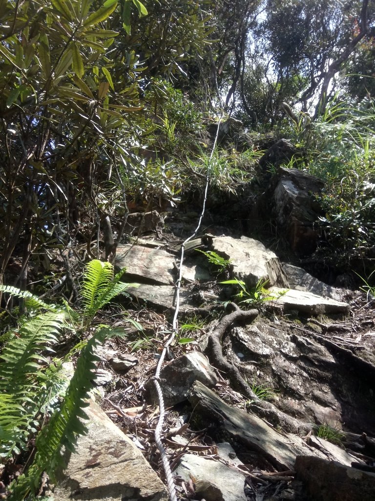 DSC_4077.JPG - 魚池  大尖山登山步道