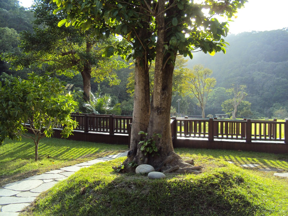 DSC02096.JPG - 三峽  溪南里  天南寺