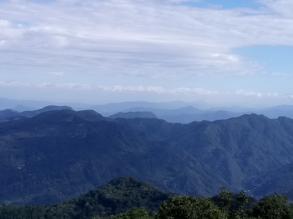 DSC_8972.JPG - 復興  東眼山森林步道