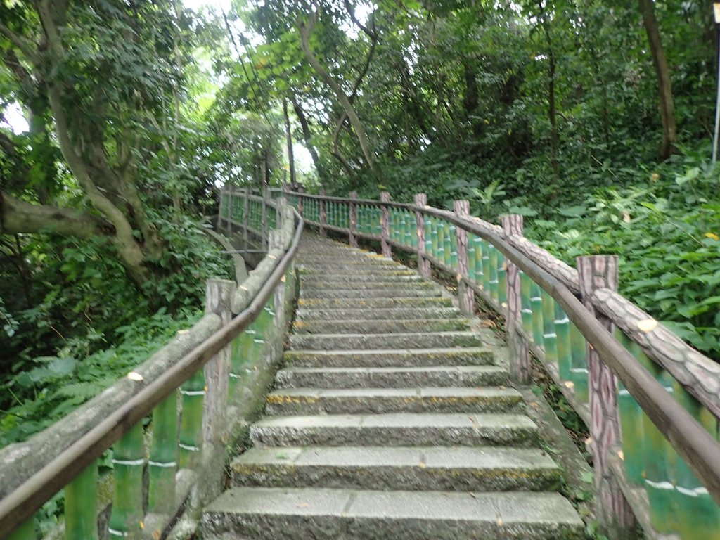 P1122634.JPG - 大直圓山風景區  劍潭山