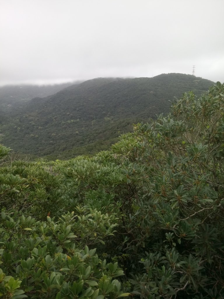 DSC_5863.JPG - 內湖  大崙尾山