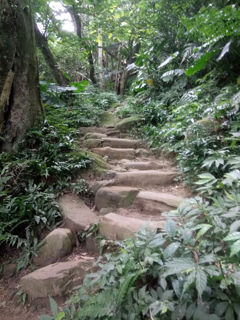 DSC_4861.JPG - 大溪  溪洲山登山步道