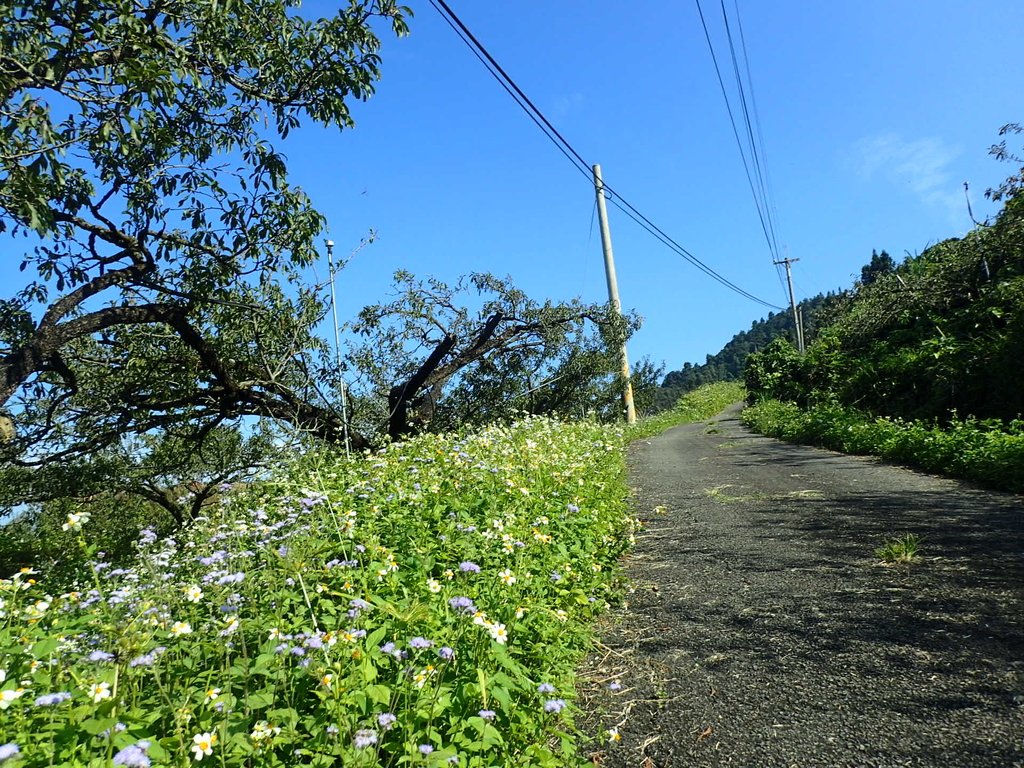 PA064345.JPG - 大湖  馬那邦山  (01)