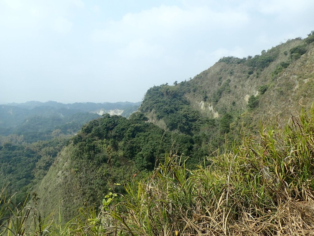 P3016105.JPG - 草屯平林  九九峰森林步道