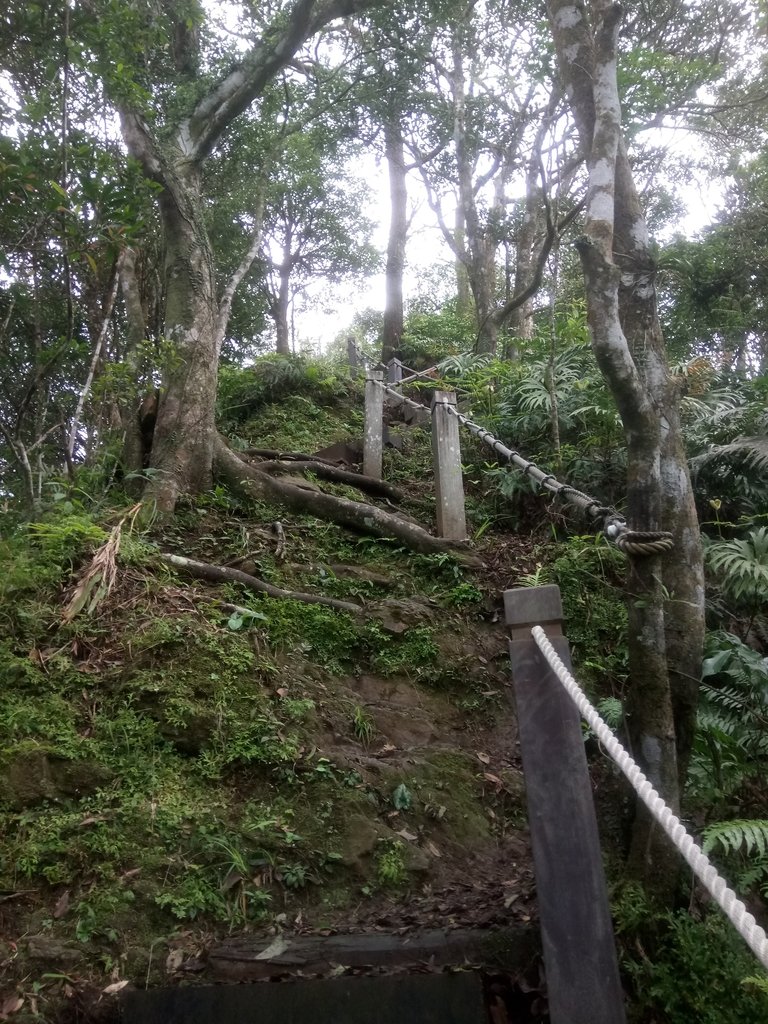 DSC_7175.JPG - 坪林  鬼子賴尖山