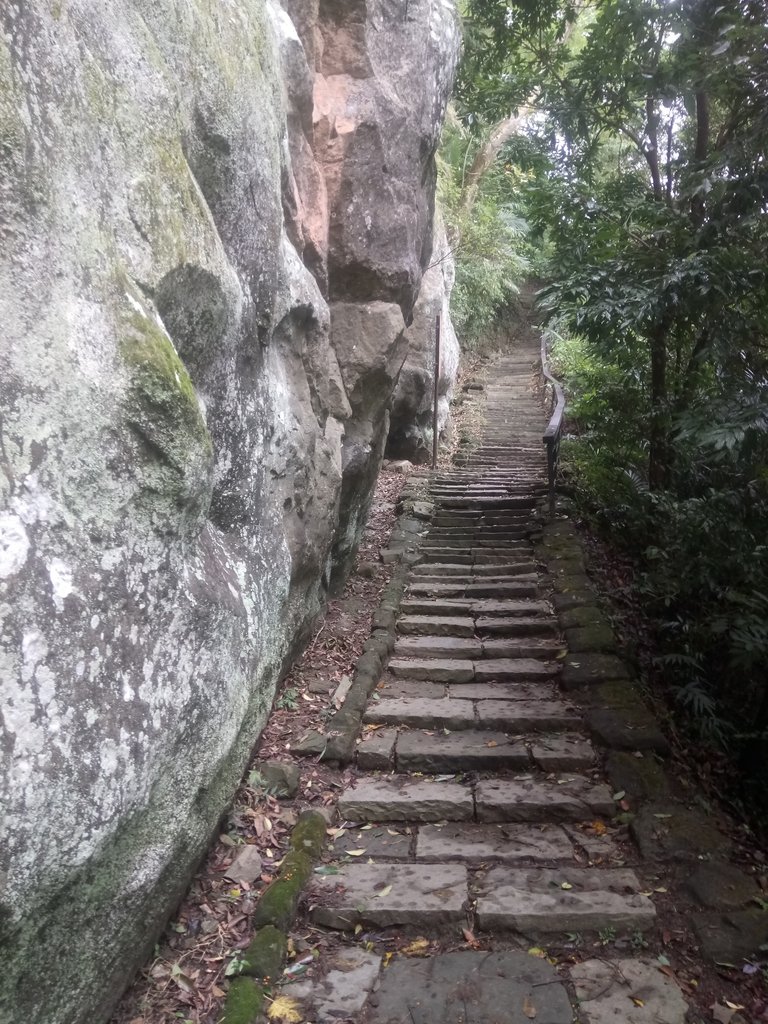 DSC_2828.JPG - 獅頭山  獅山古道  (02)