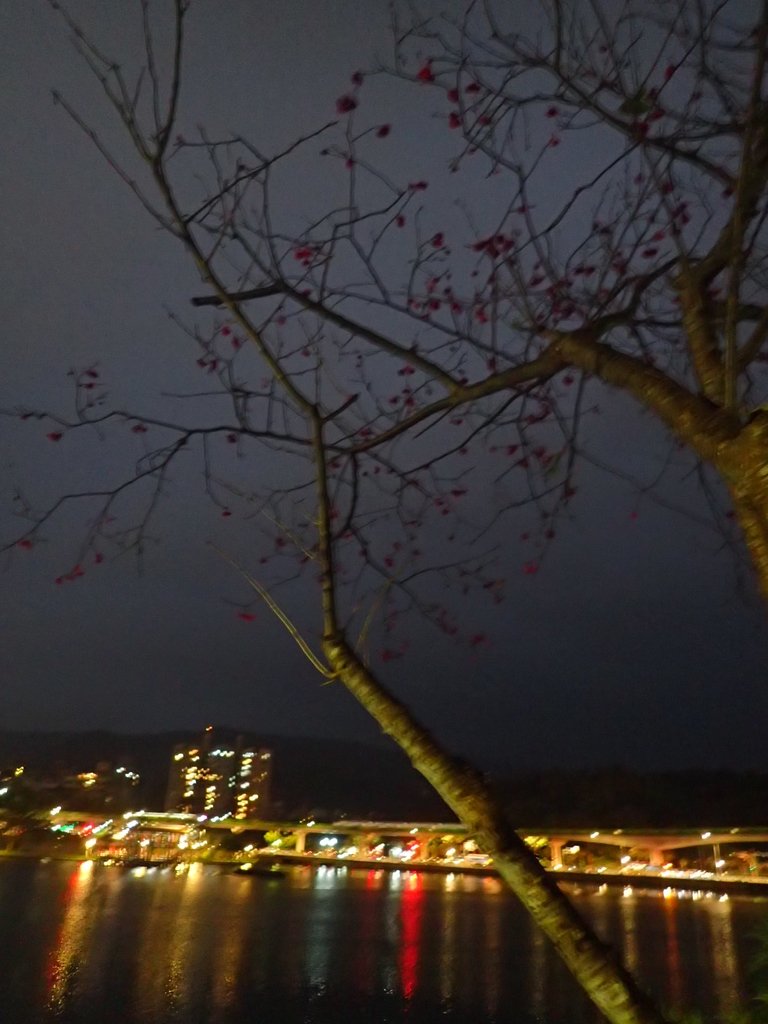 P3116956.JPG - 內湖  大湖公園之夜色