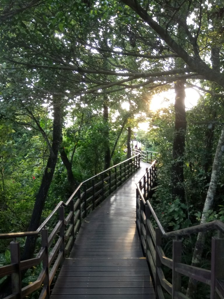 DSC_2691.JPG - 景美  仙跡岩親山步道