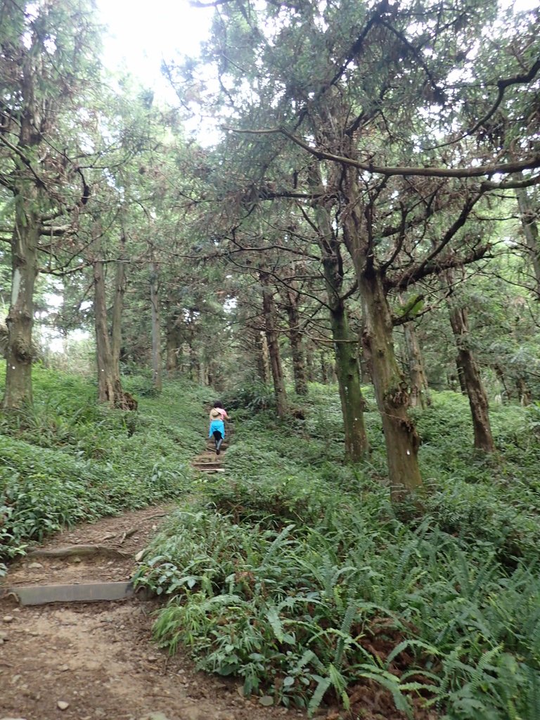 P7235808.JPG - 台中和平  長壽山登山步道  (上)