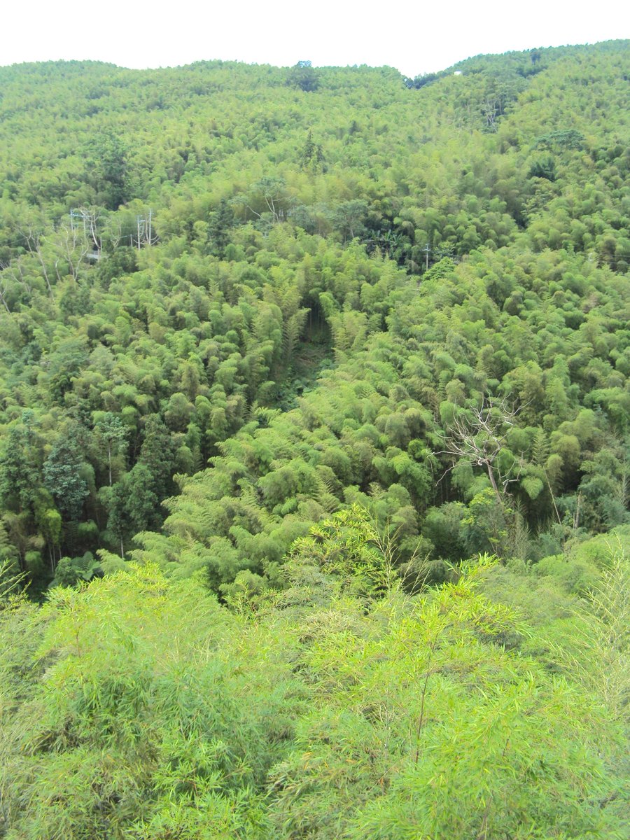 DSC08059.JPG - 竹山  大鞍  觀竹海樓