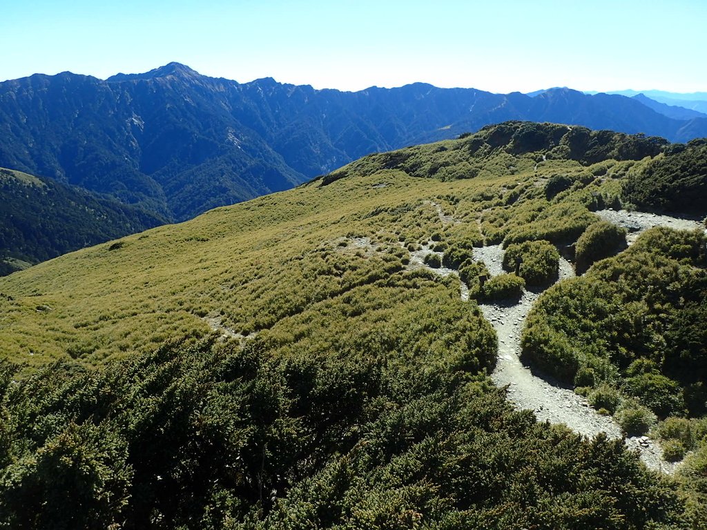 PC132174.JPG - 合歡山  東峰