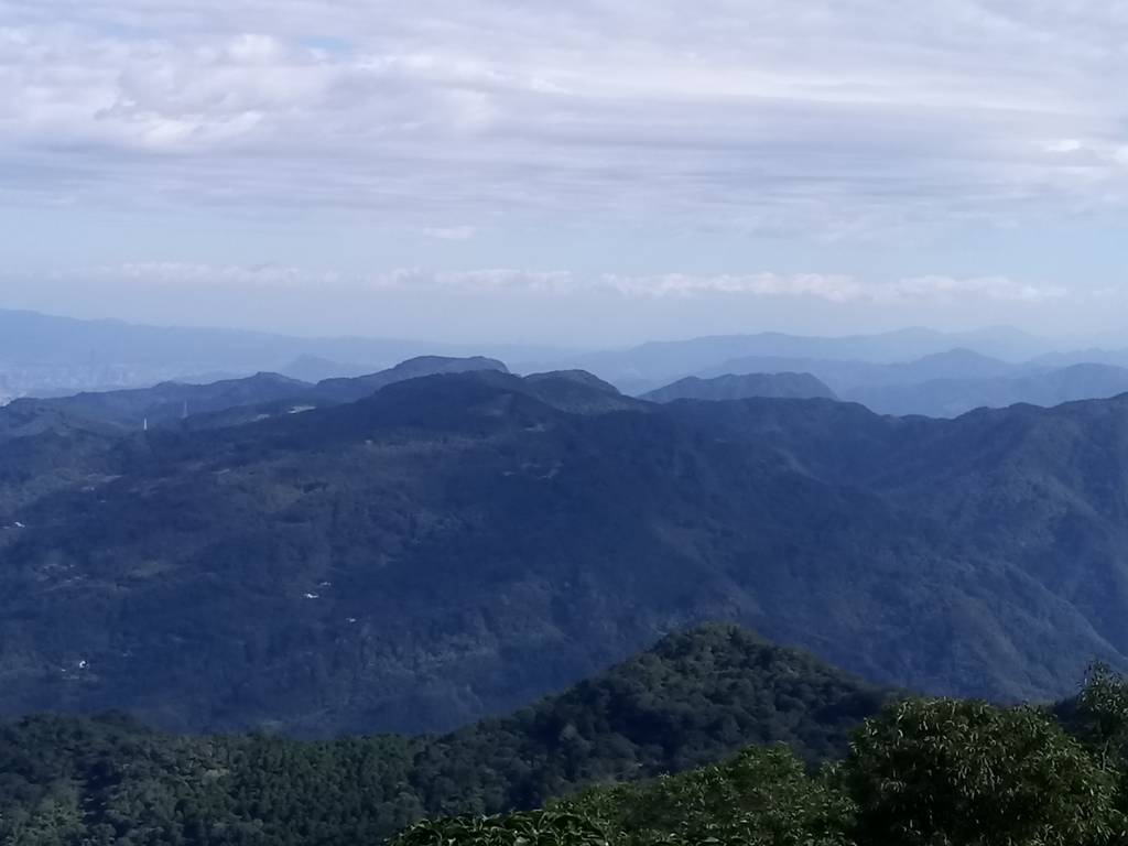 DSC_8973.JPG - 復興  東眼山森林步道