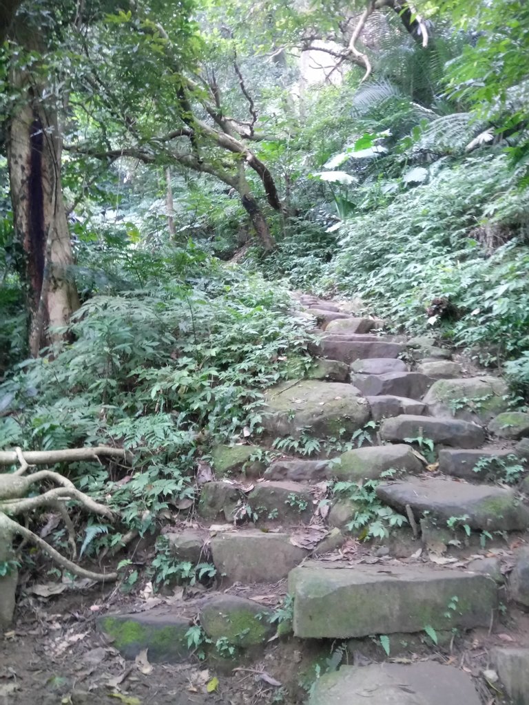 DSC_4865.JPG - 大溪  溪洲山登山步道