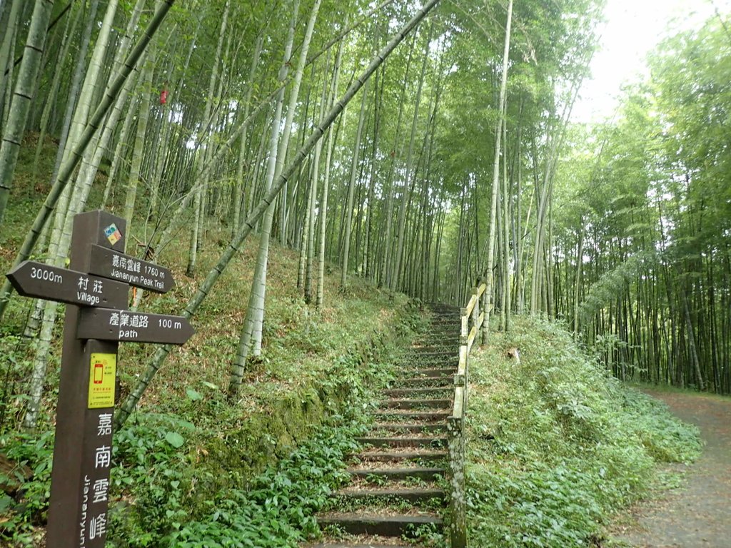 PA231669.JPG - 石壁山  嘉南雲峰步道