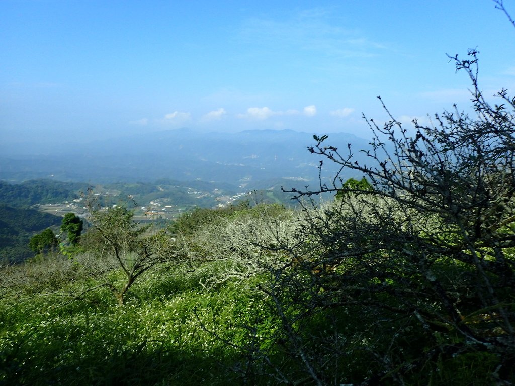 大湖  馬那邦山  (上)