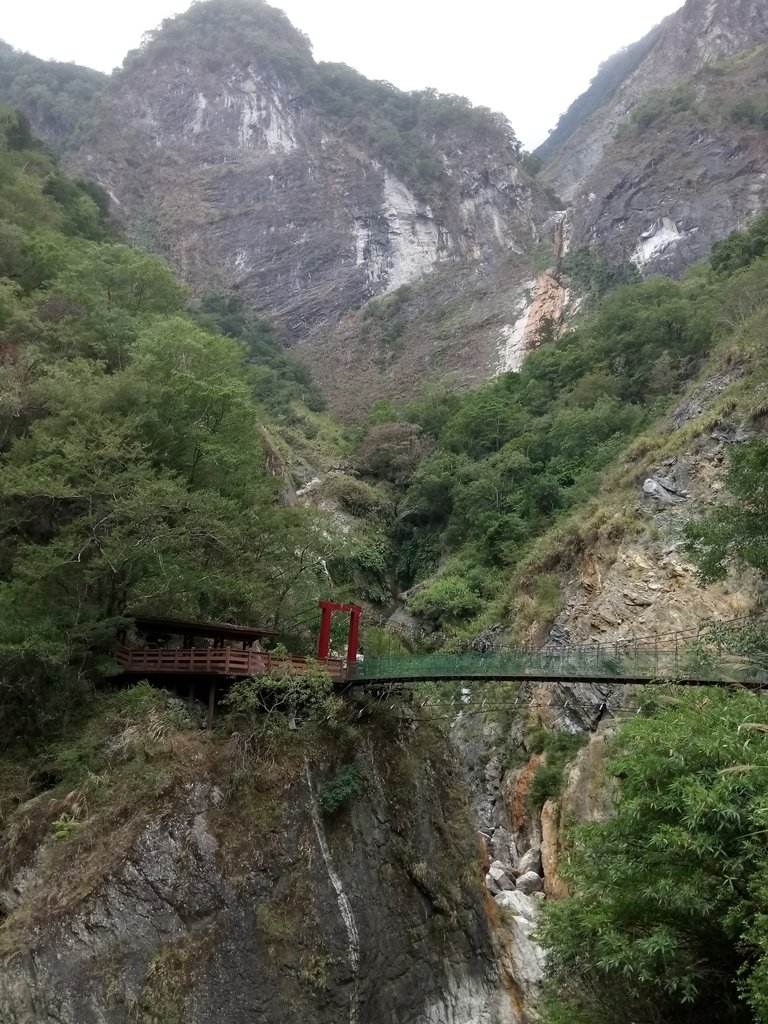 DSC_0569.JPG - 花蓮  天祥  白楊步道