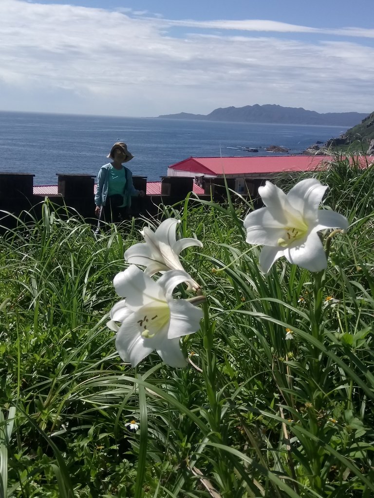 DSC_8027.JPG - 瑞芳  鼻頭角稜谷步道  聽濤營區