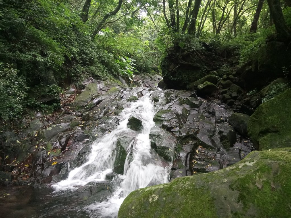 DSC_0712.JPG - 三芝  大屯溪古道