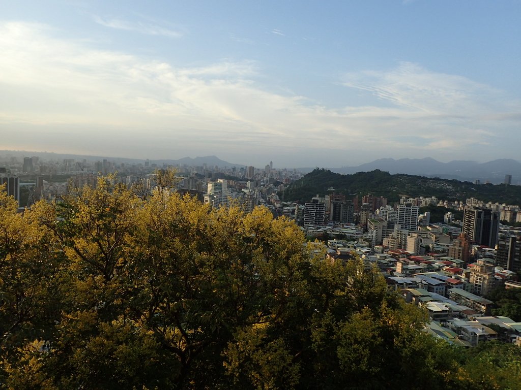 P9230004.JPG - 景美  仙跡岩親山步道