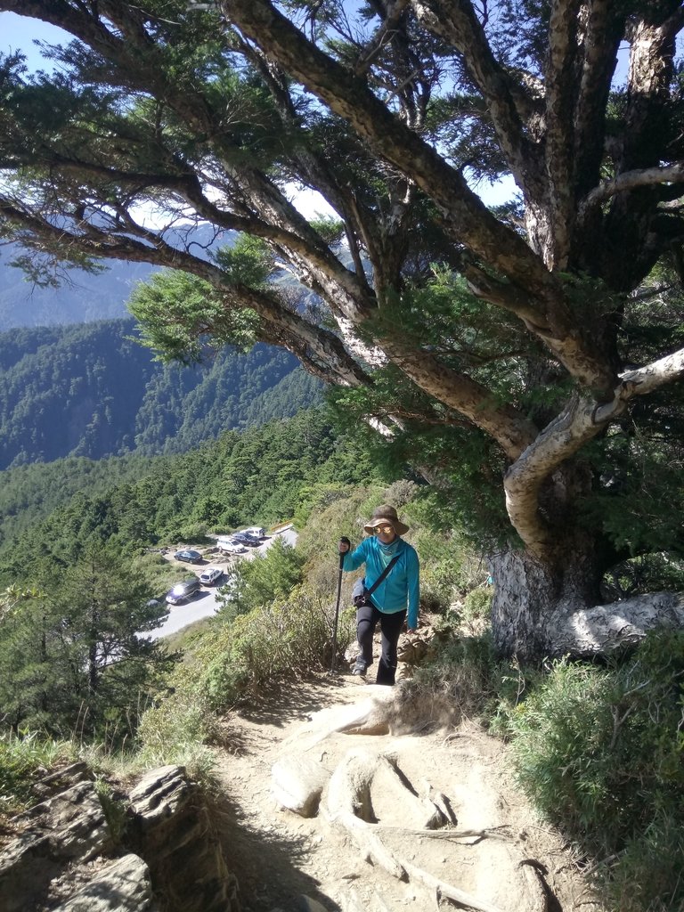 DSC_5322.JPG - 合歡山  北峰之美  (上)