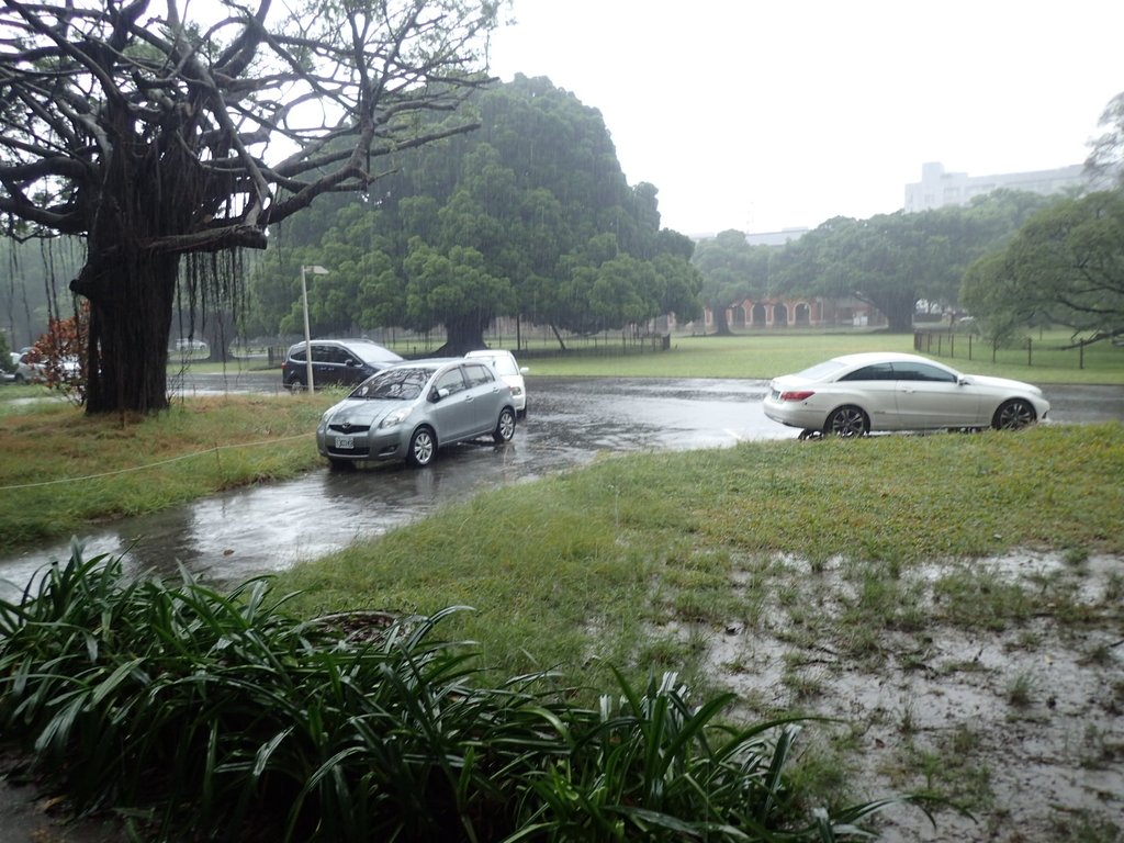 PB074512.JPG - 台南  成功大學  校園掠影