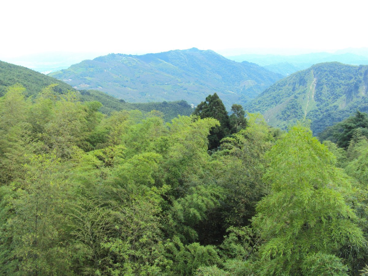 DSC08060.JPG - 竹山  大鞍  觀竹海樓