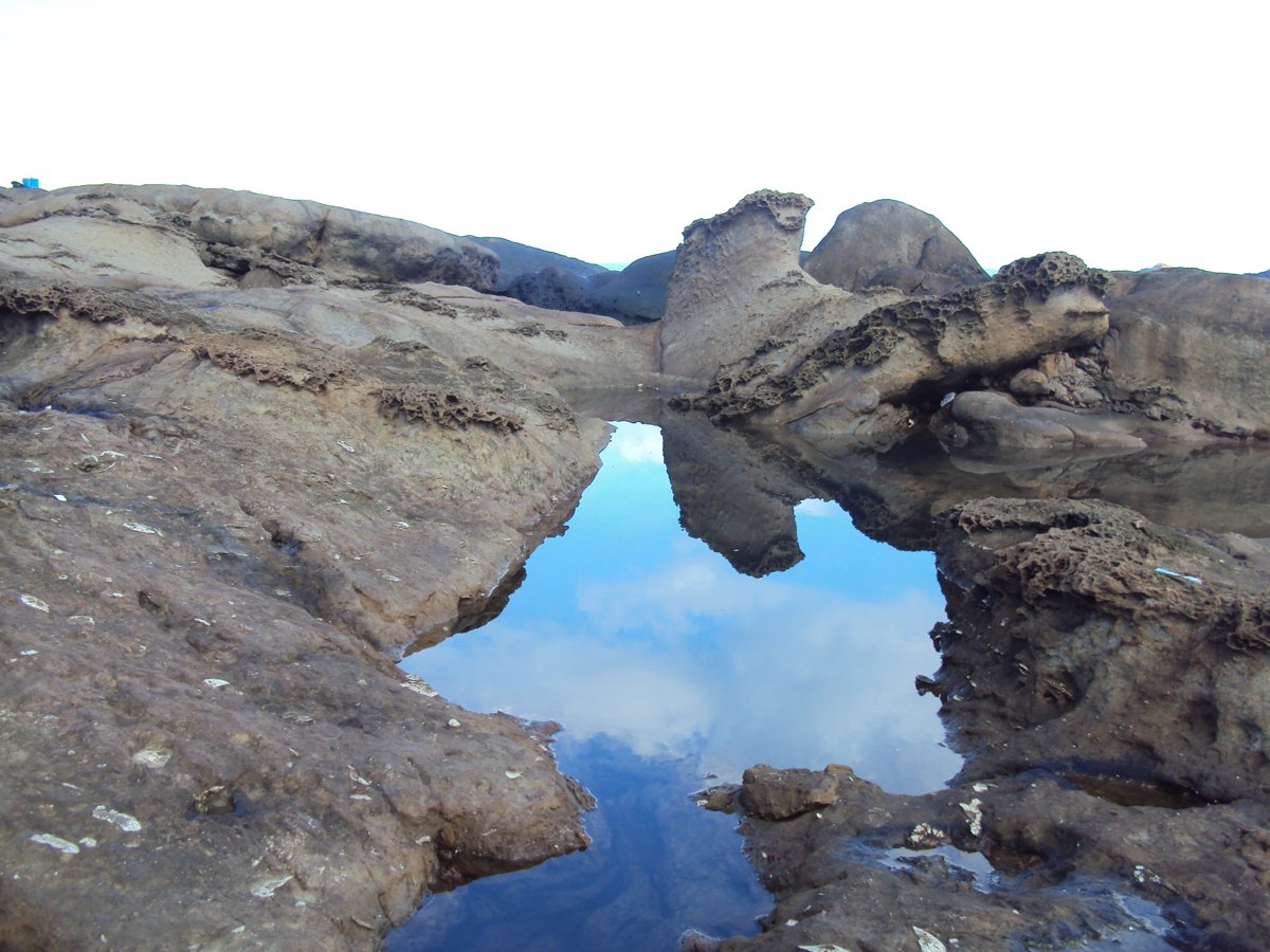 DSC06518.JPG - 瑞芳  水湳洞海岸之美