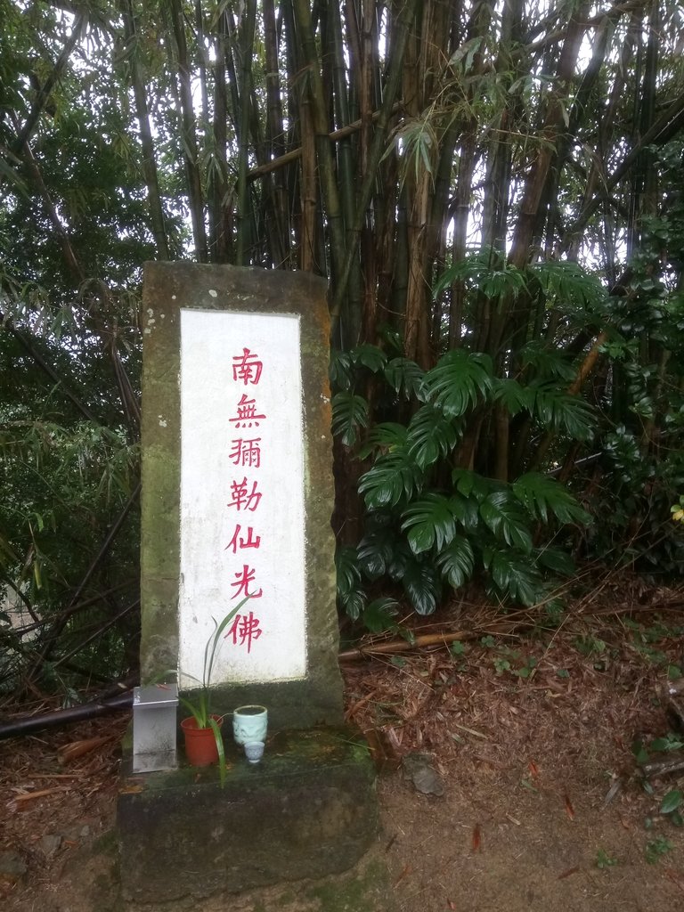 DSC_1707.JPG - 再訪  土城  承天禪寺