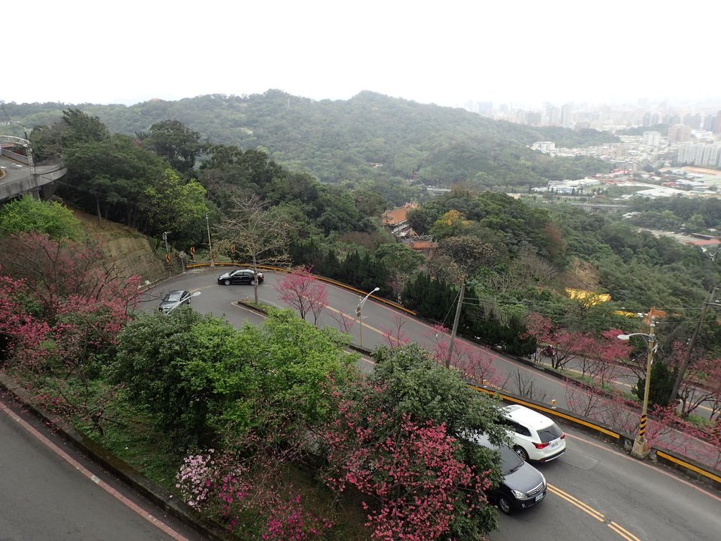 P2178165.JPG - 中和  南勢角山  (烘爐地)