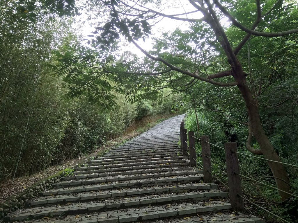 DSC_8931.JPG - 公館  墨硯山步道